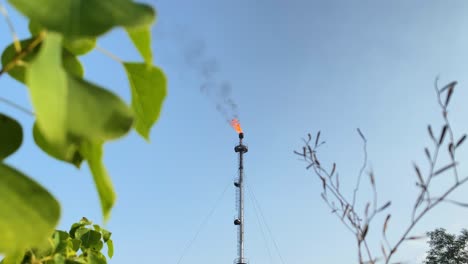 Close-up-of-Gas-flare-behind-green-lush-vibrant-leaf,-life-pollution-concept