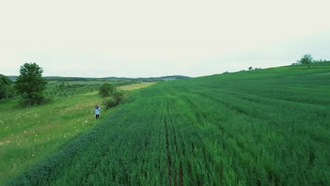 a woman walks past a field of oats with a guitar on her back