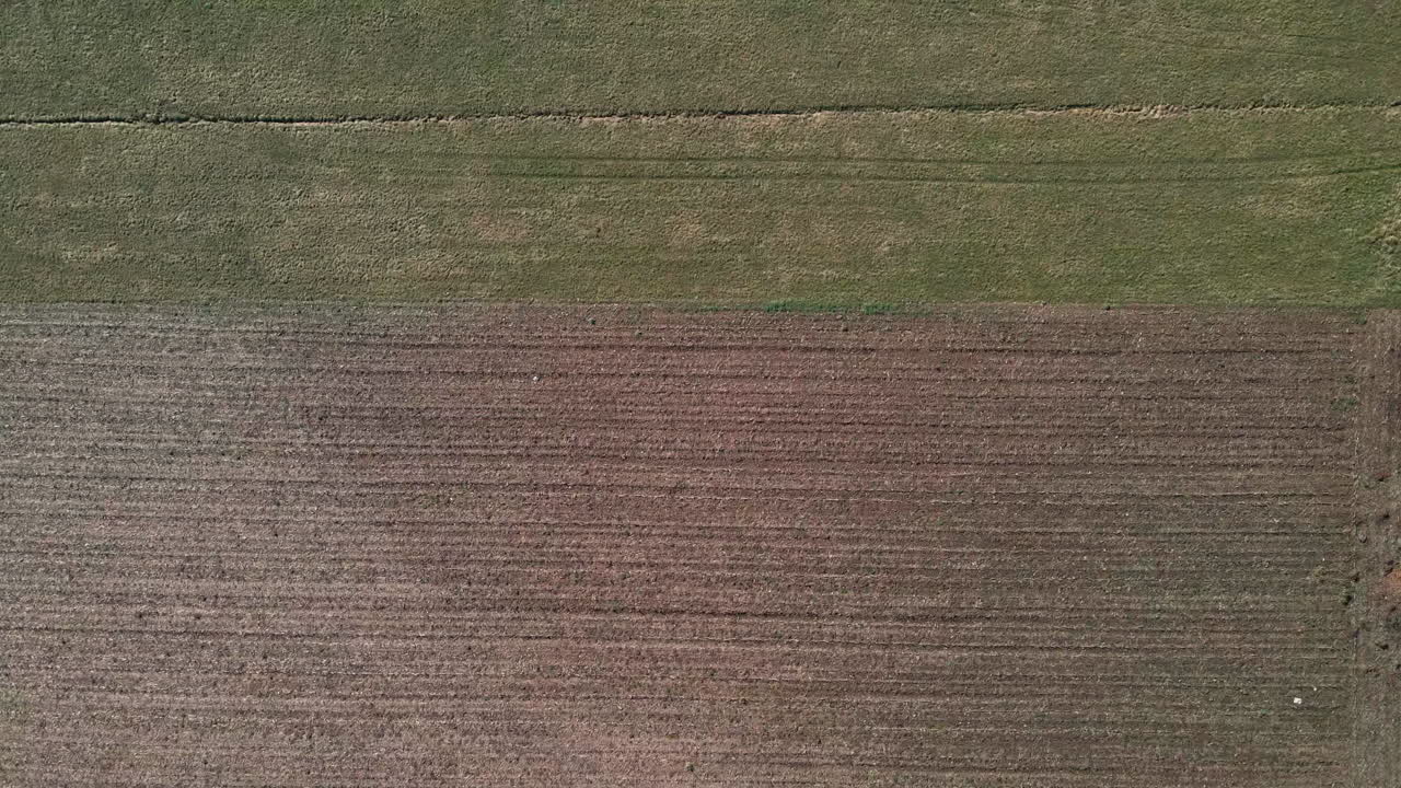 이탈리아 북부 아르코르에서 겨울이 끝날 때 농촌 지역의 농작물이 있는 농지의 조감도 - 공중 드론 샷