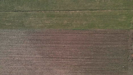 vista panorámica de las tierras de cultivo con cultivos agrícolas en el área rural durante el final del invierno en arcore, norte de italia - toma aérea de drones