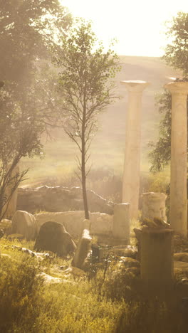 antiguas ruinas en un paisaje iluminado por el sol