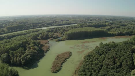 Imágenes-Aéreas-De-Drones-Inclinados-Hacia-Abajo-Que-Vuelan-Sobre-El-Antiguo-Lecho-Del-Río-Danubio-Y-Sus-Pequeños-Arroyos-Y-Lagos