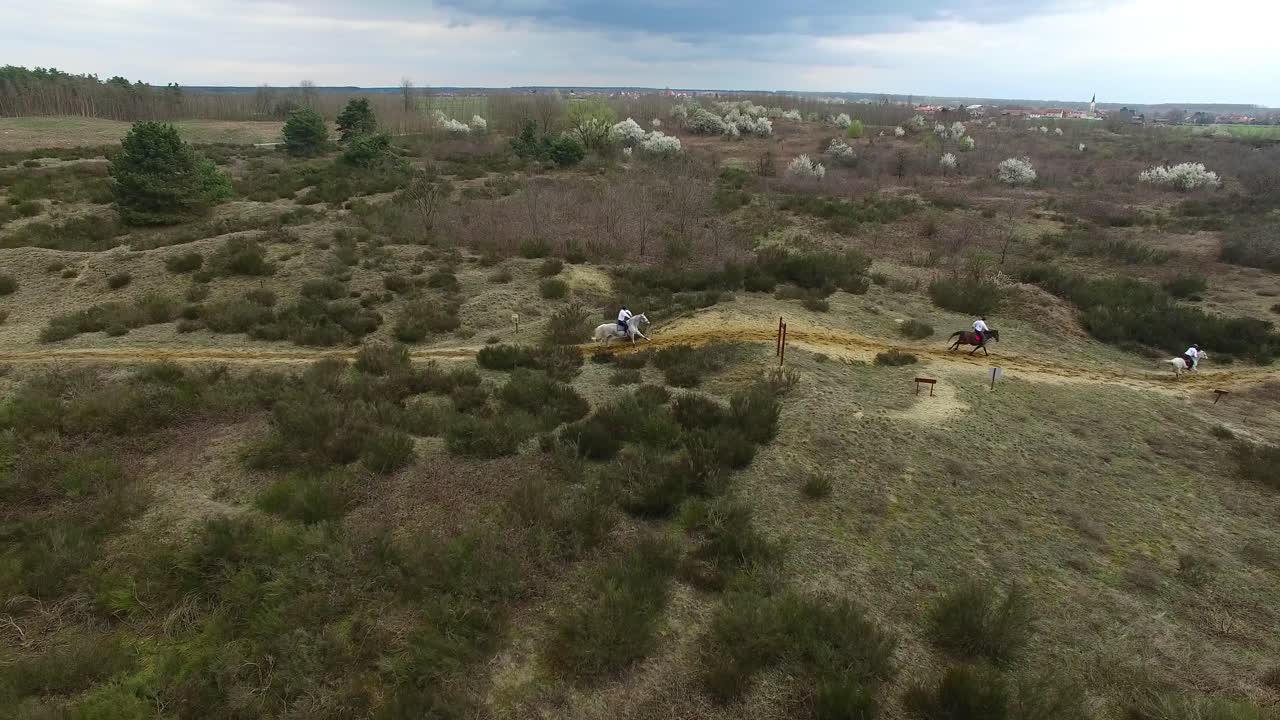vista aérea de tres caballos corriendo en un ambiente desértico