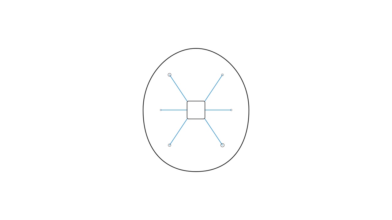 Disegno lineare animato minimalista di un diagramma di rete