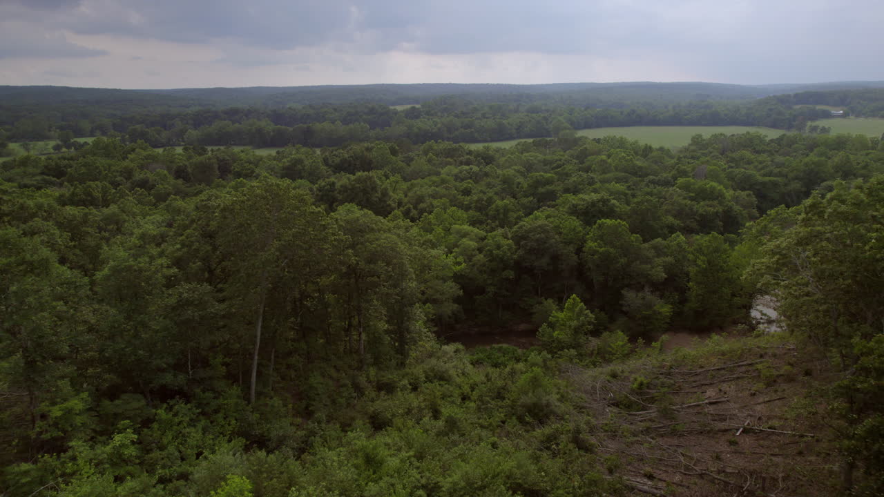 árboles elevados y hacia el campo abierto y las colinas del sur de missouri en un bonito día de verano