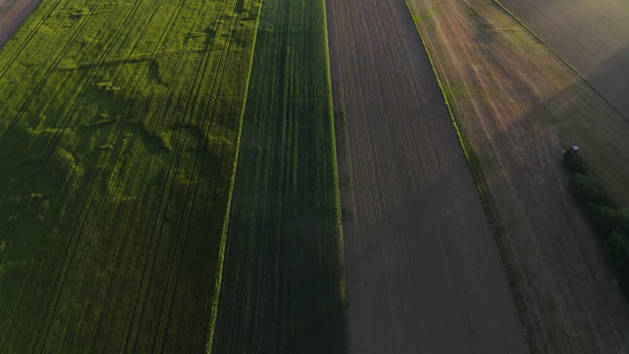 vista aérea de las tierras de cultivo