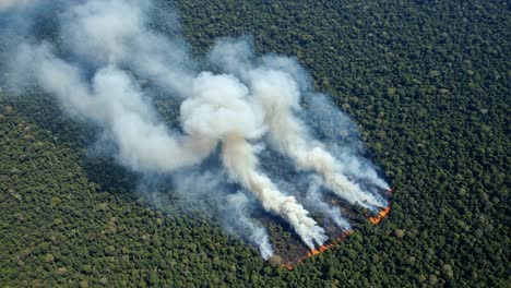 aerial view of forest fires emitting thick smoke over dense greenery, highlighting the environmental impact of wildfires and deforestation in a lush landscape