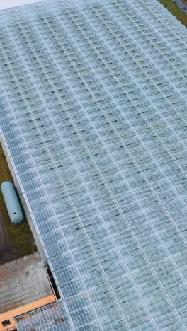 aerial view flying over large greenhouse with vegetables, greenhouse with transparent glass. technical and administrative buildings. vertical video