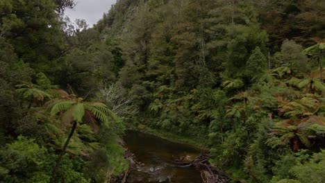 drone footage of slow flight along a brown jungle river with palm trees along the steep banks