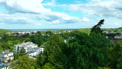 aerial footage of a lush green residential area, with houses peeking through dense trees. the distant horizon reveals the sea and a bright blue sky with clouds - gdynia, poland