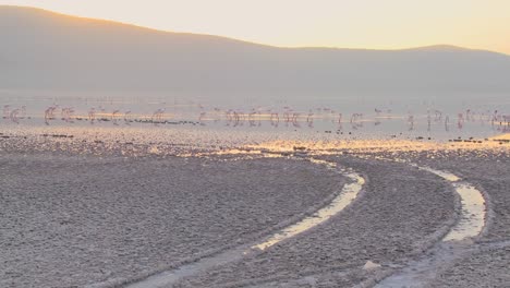 Tire-tracks-go-into-the-distance-at-Lake-Nakuru-Kenya-with-pink-flamingos-in-the-distance