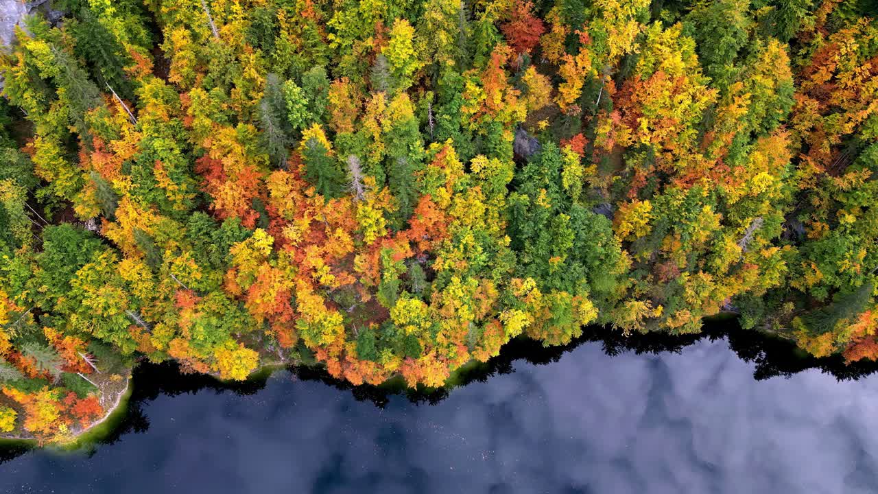 un río sinuoso, su superficie un reflejo vidrioso de un cielo azul claro, serpientes a través de un vibrante bosque de otoño en llamas con rojos ardientes, amarillos dorados y naranjas profundos