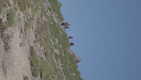 a group of people hiking in the mountains and hills of villa pehuenia, patagonia, argentina with blue skies above