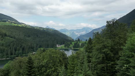 beautiful mountain landscape with trees and a fresh waterstream