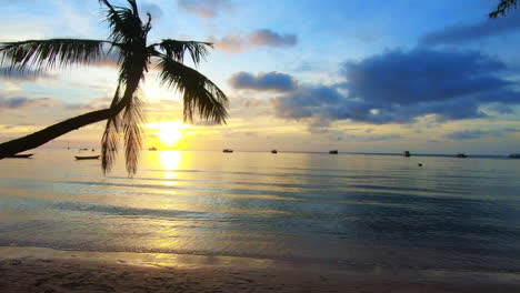 beautiful-amazing-unreal-gorgeous-sunset-in-Koh-Tao-Thailand-Asia-with-horizontal-palm-tree-with-wave-crashing-in-2