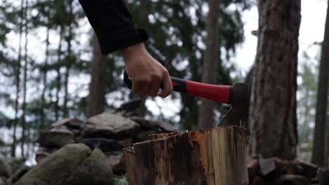 chopping a piece of wood with an axe in the forest