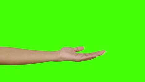 la mano