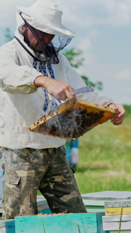 beekeeper at work. frames of a bee hive. apiary concept vertical video