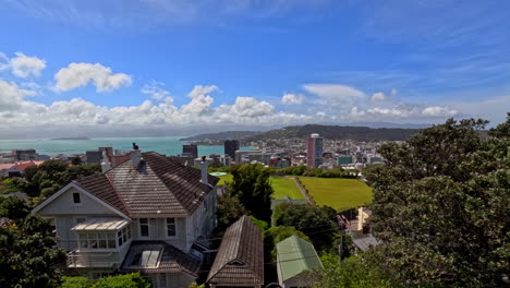 elevated view over wellington, new zealand, blending classic homes, green hills, and a sparkling harbor. city's charm where urban life meets coastal beauty. perfect for use in real estate lifestyle