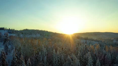 Sonneneruption-Leuchtet-über-Dem-Bergkamm,-Während-Goldenes-Licht-Einen-Grünen-Schimmer-Auf-Den-Schneebedeckten-Wald-In-Norwegen-Wirft