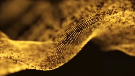 abstract visual of golden waves undulating smoothly against a dark backdrop. the shimmering light creates an enchanting atmosphere, showcasing a mesmerizing dance of textures.