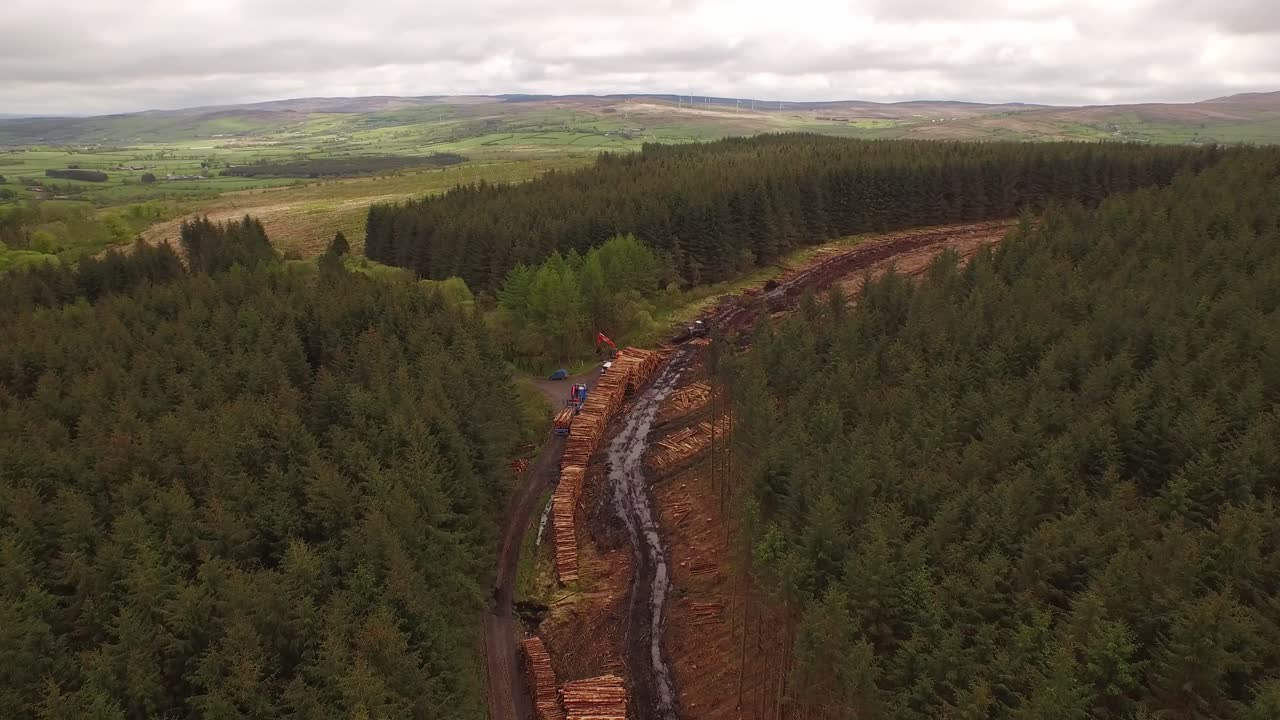 Forestry and logging operations taking place in the highlands of Scotland using large industrial machinery, ships and trucks