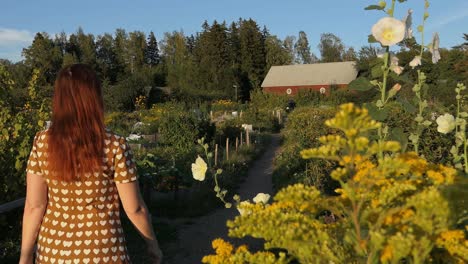 Red-haired-woman-in-dress-walking-garden-path-with-flowers-to-barn,-countryside