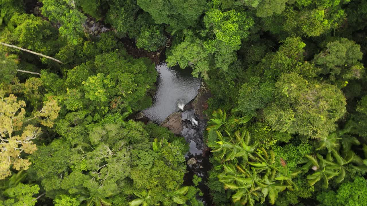 un avión no tripulado que gira lentamente descendiendo a un agujero de agua natural escondido en lo profundo de una exuberante selva tropical