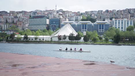 city waterfront with rowing boats