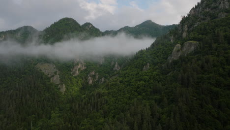 towering mountains covered with dense thicket in borjomi nature reserve, samtskhe-javakheti, lesser caucasus, georgia