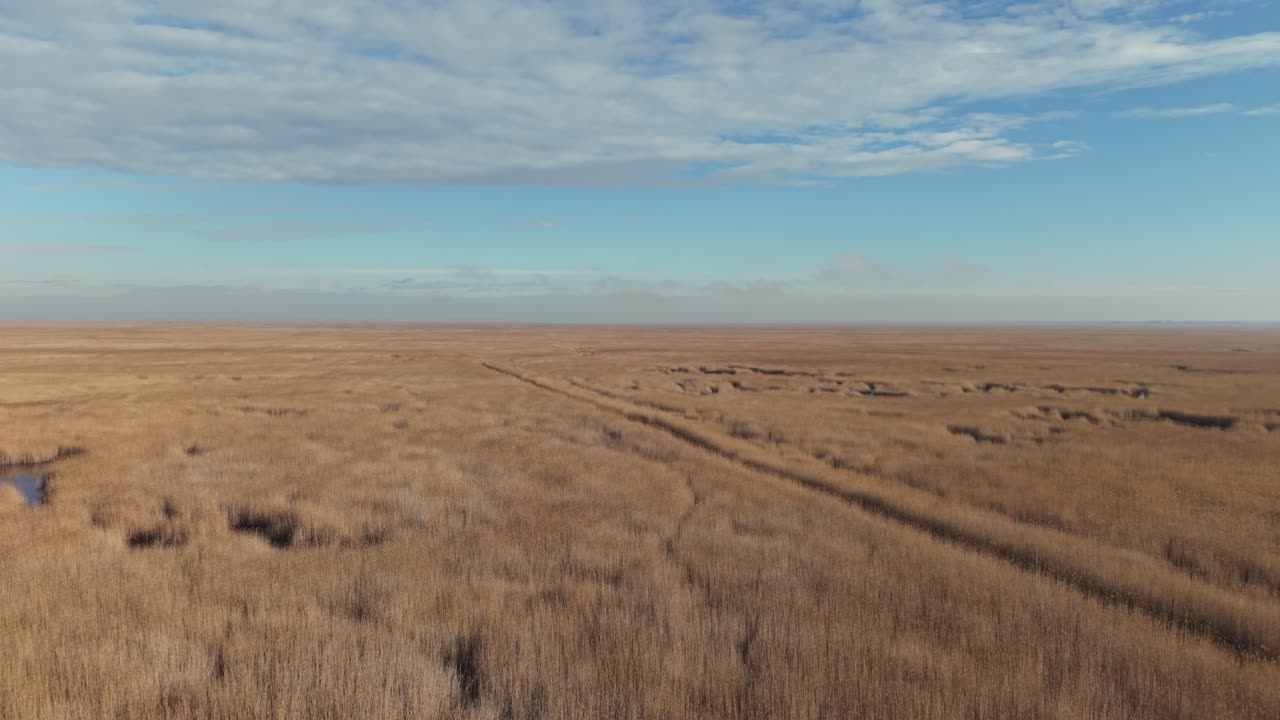 An expansive dry grassland stretches endlessly toward the horizon under a partly cloudy blue sky. Subtle tracks and patches of water break the uniform texture of the golden-brown reeds