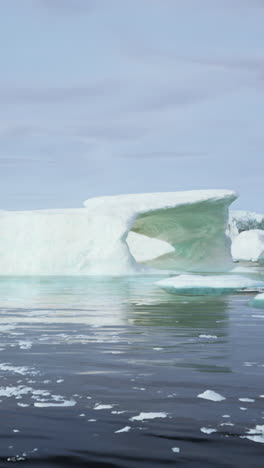 an iceberg in the ocean