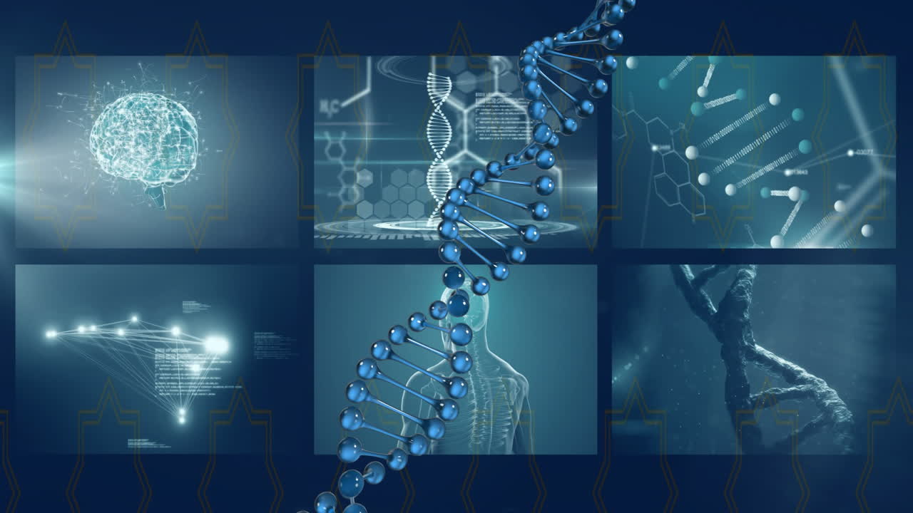 Dna strand and brain activity animation over scientific research ...