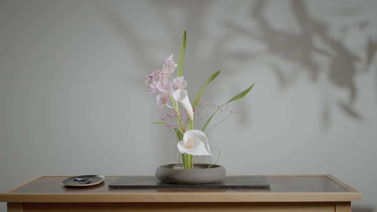 Zoom Out Shot Of Beautiful Unique Plant Composition Placed On Table