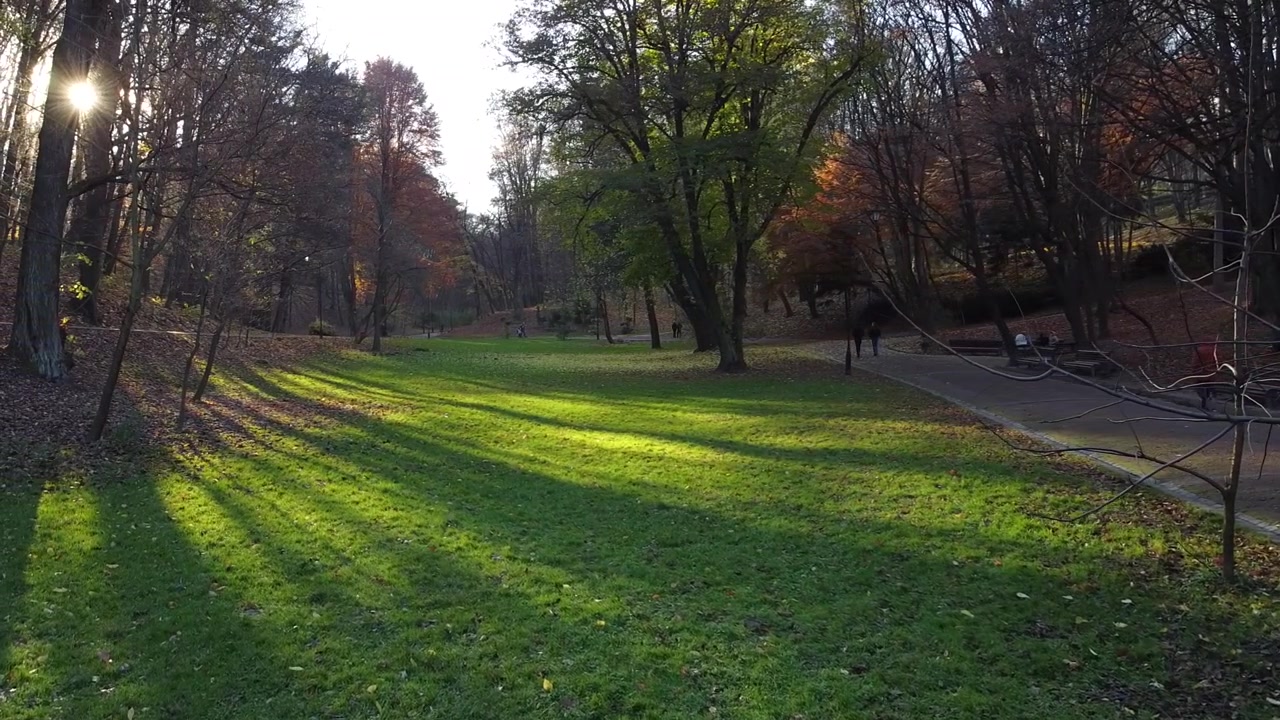 Prato verde nel parco autunnale