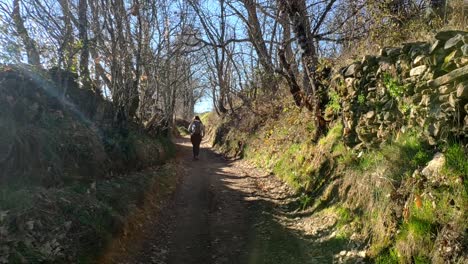 A-woman-is-seen-hiking-with-a-backpack-along-a-path-in-the-countryside-with-leafless-trees-to-each-side