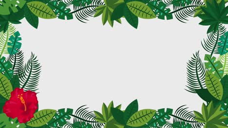 plantilla de verano tropical