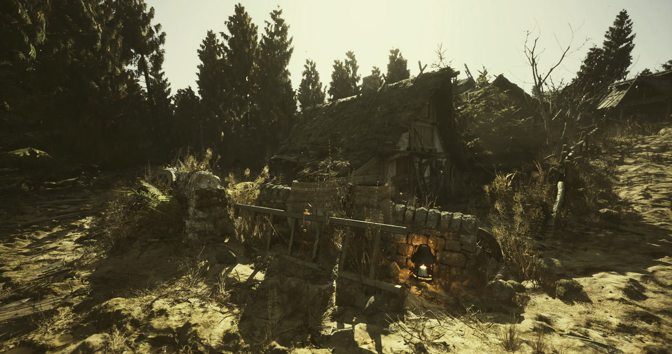 Rustic old cottage surrounded by trees in a sunlit forest setting