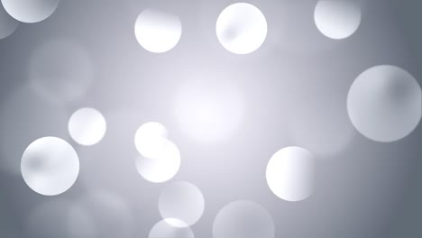 4k movimiento de bucle de bokeh luz solar superposición de sombra natural sobre fondo blanco.