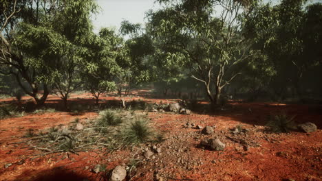 kimberley region of western australia