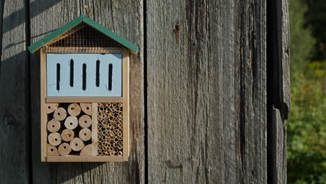 close up of insect hotel on weathered plank wall