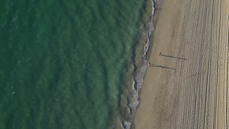 Aerial-top-down-shot-of-walking-people-at-sandy-Coogee-Beach-and-clear-Pacific-Ocean-in-Western-Australia---Slow-motion-drone-flyover