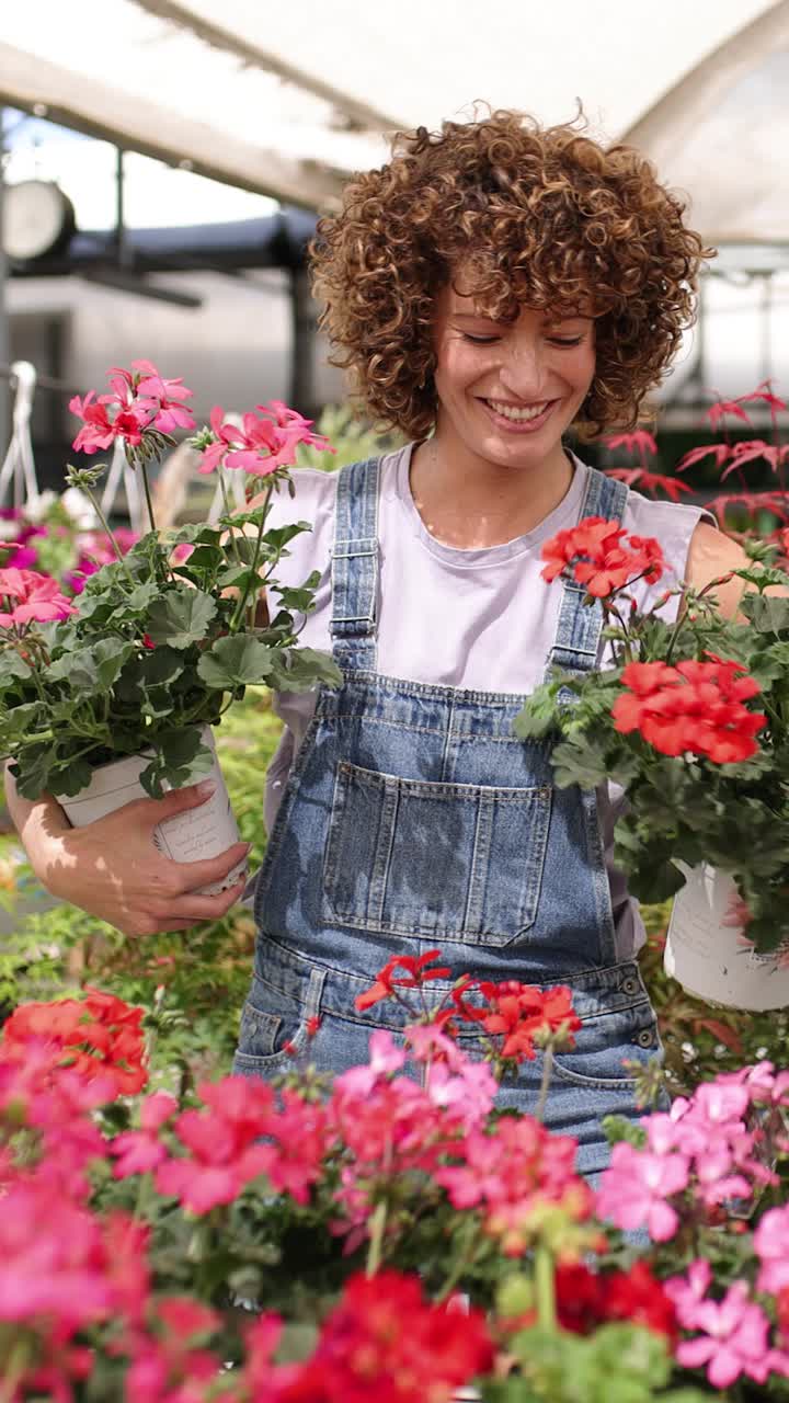 Gardener holding red geranium in greenhouse. Vertical