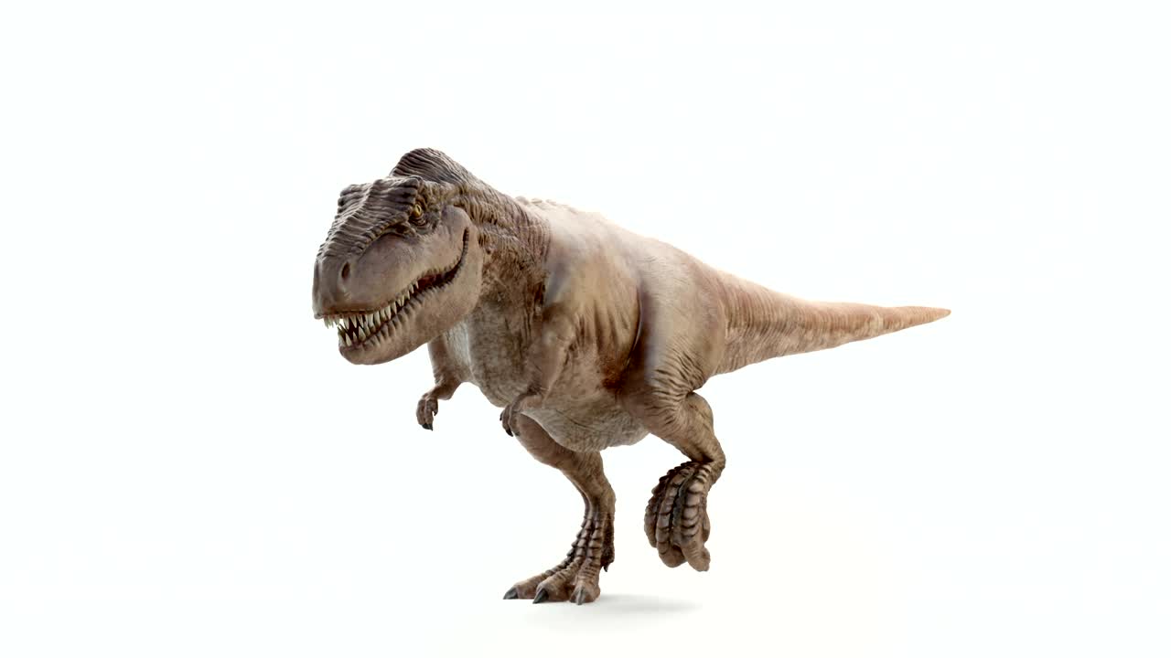 tyrannosaurus rex en movimiento de caminata