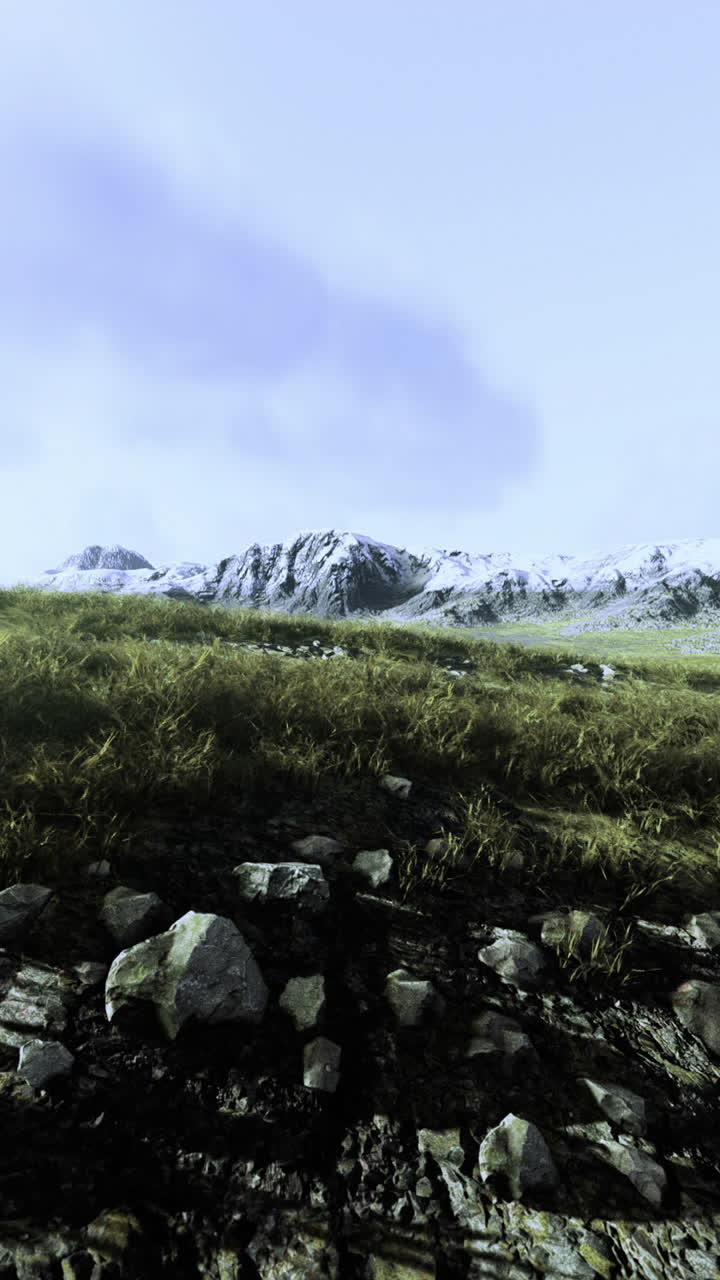 Rocky patches peek through lush grass