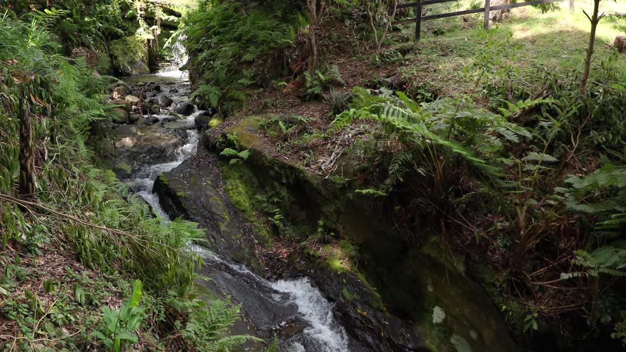 Række af vandfald, der strømmer gennem jungle i Parque das Frechas i Portugal - bredt billede