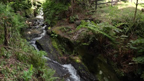 Serie-De-Cascadas-De-Agua-Que-Fluyen-A-Través-De-La-Jungla-En-El-Parque-Das-Frechas-En-Portugal---Ancho