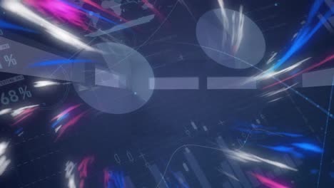 animación de la red de conexiones a través del procesamiento de datos