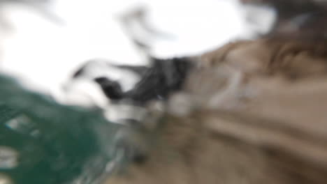 Close-up-view-of-dog-swimming-in-the-lake-water-of-Montana-lake