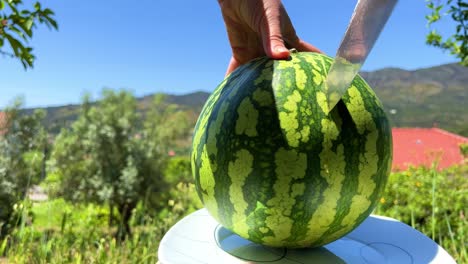 a woman prepares to cut a watermelon and scrolls it in front of the frame in the background mountains trees sky. high quality 4k footage